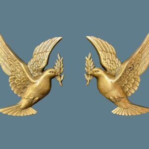 Bronze Doves