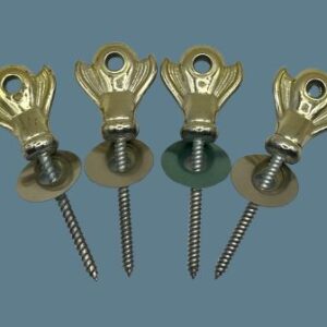 Plume Screws and Washer